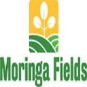 Moringa Fields LLC logo